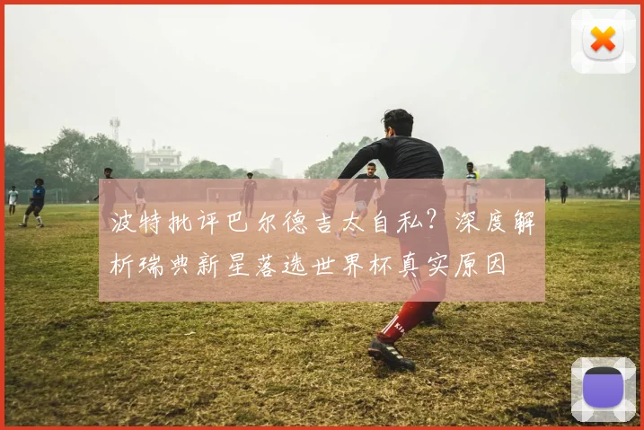 波特批评巴尔德吉太自私?深度解析瑞典新星落选世界杯真实原因